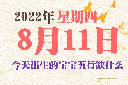 2022年8月11日出生的宝宝五行缺什么